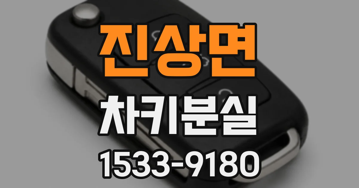 진상면 차키분실