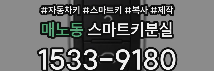 매노동 스마트키분실
