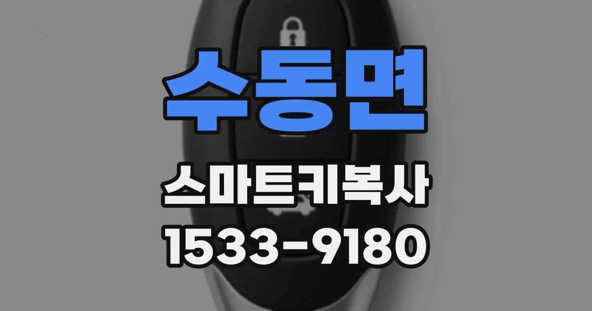 수동면 스마트키복사