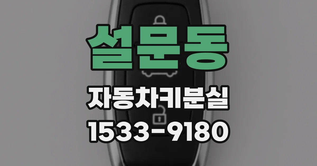 설문동 자동차키분실