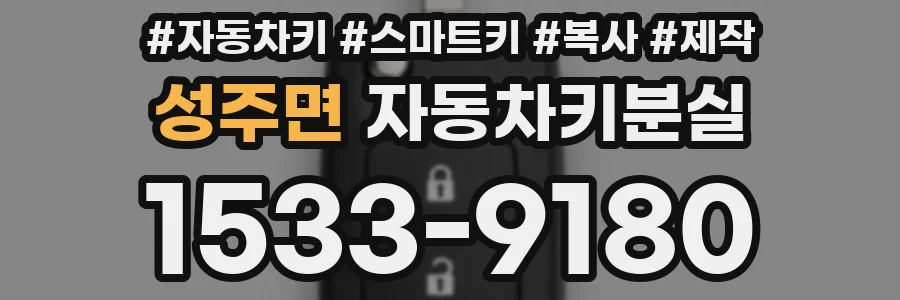 성주면 자동차키분실