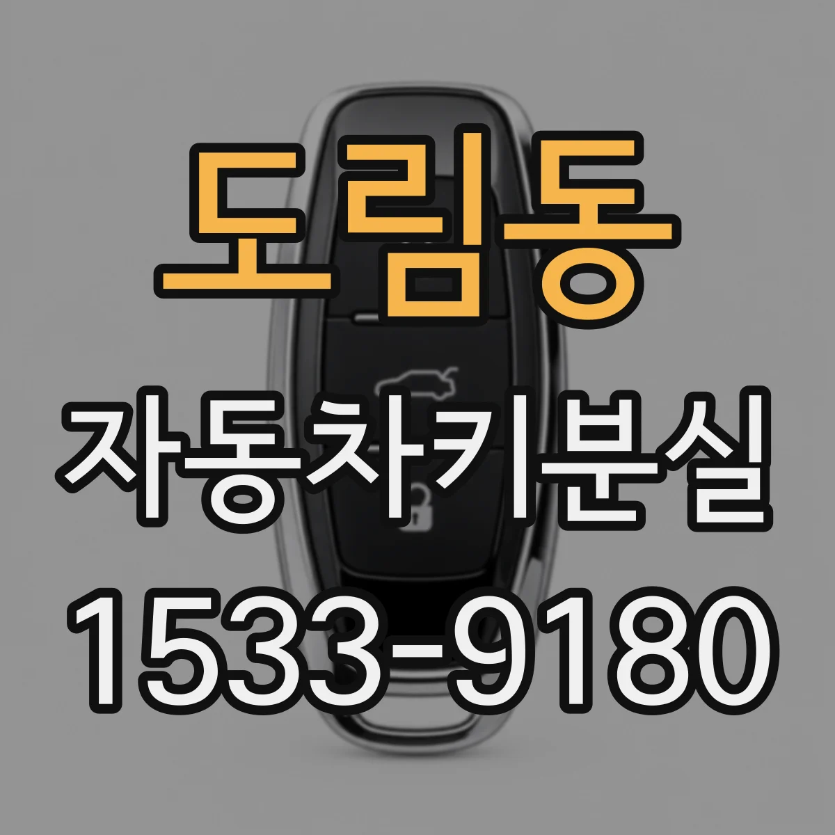 도림동 자동차키분실