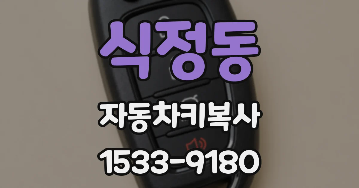 식정동 자동차키복사