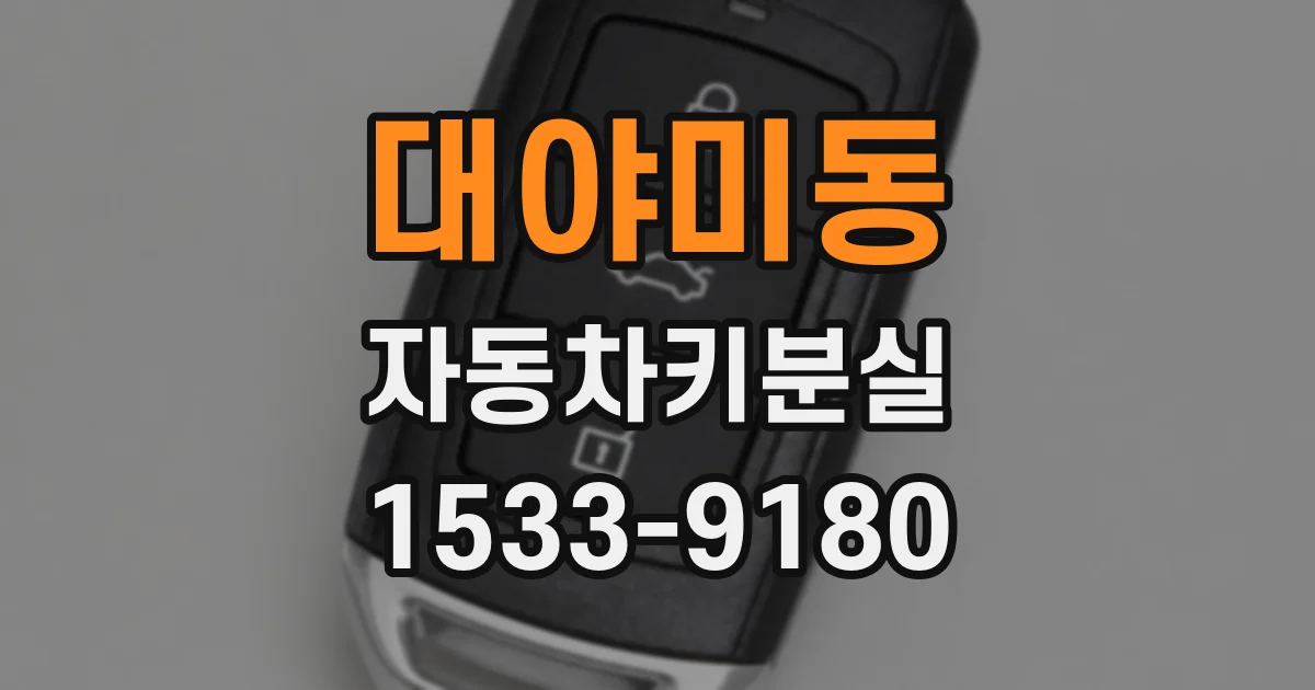 대야미동 자동차키분실