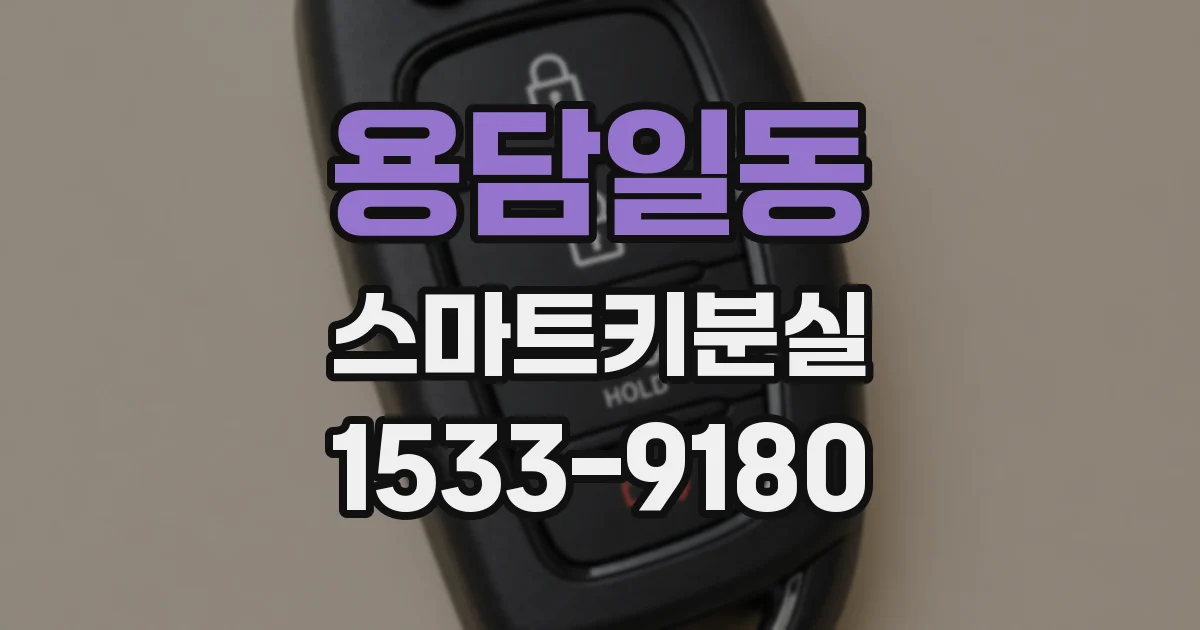 용담일동 스마트키분실
