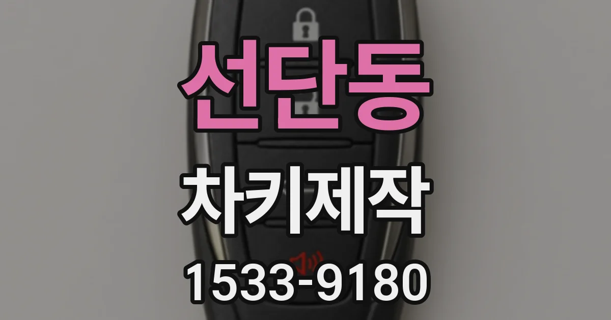 선단동 차키제작