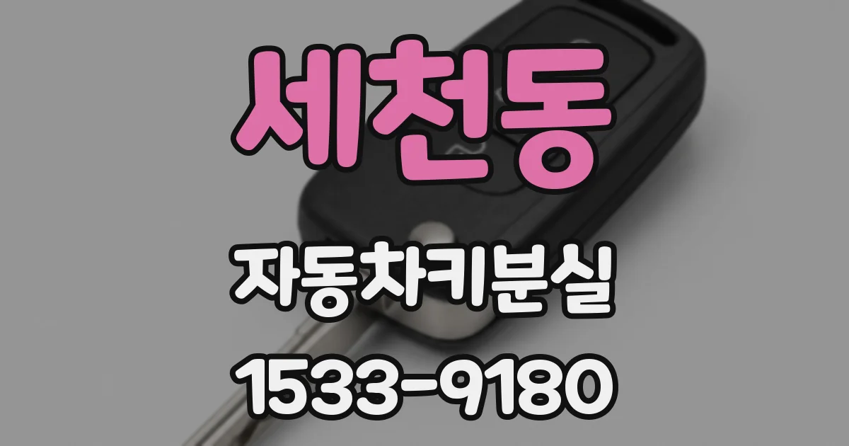 세천동 자동차키분실