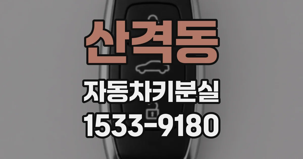 산격동 자동차키분실