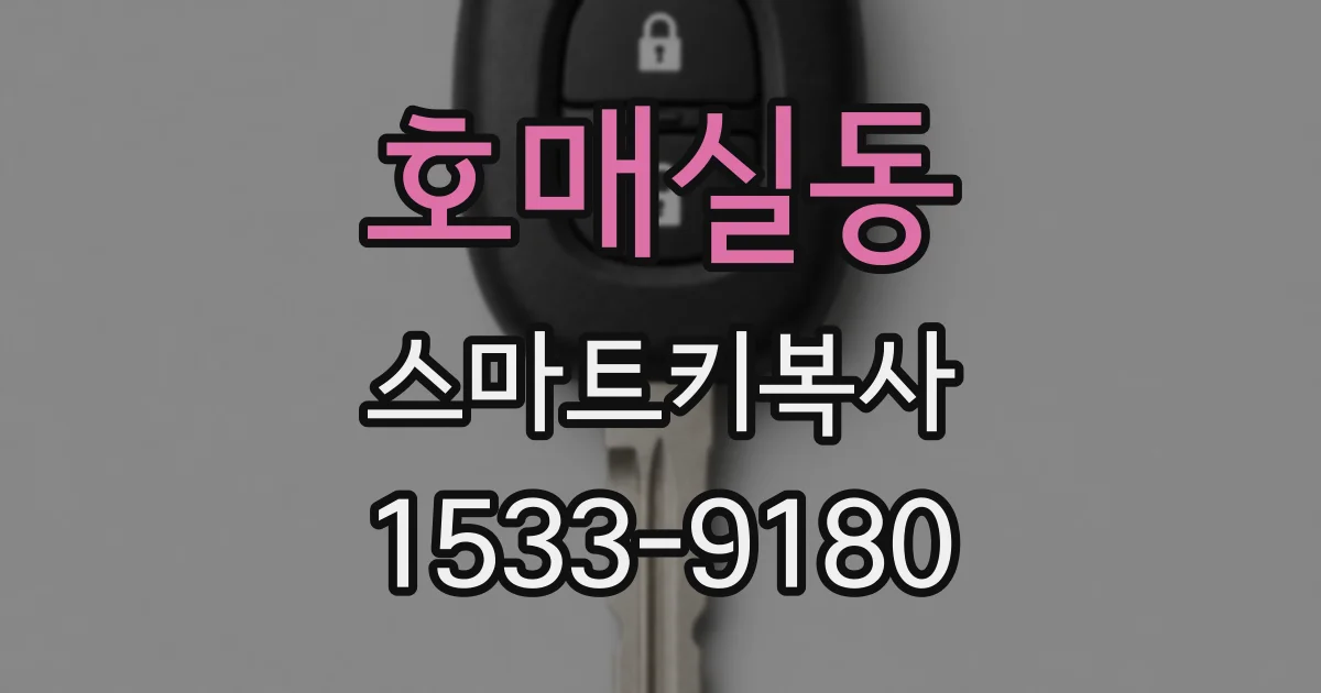 호매실동 스마트키복사