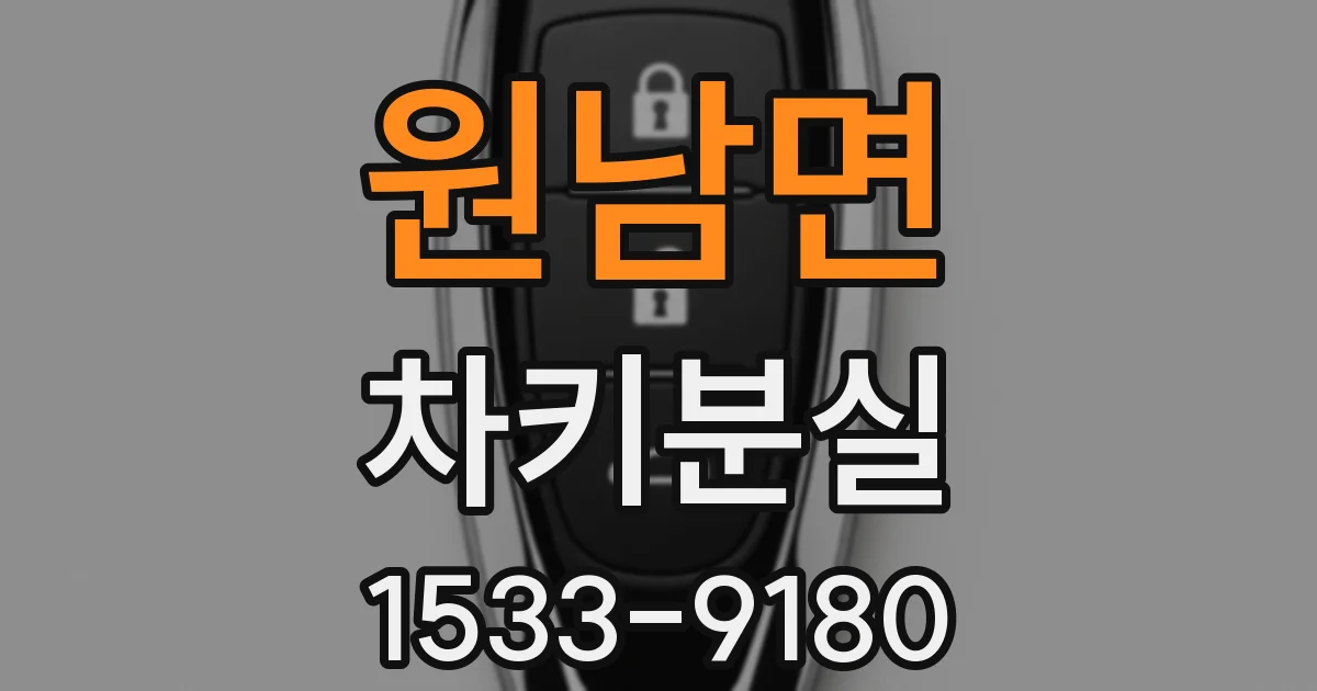 원남면 차키분실