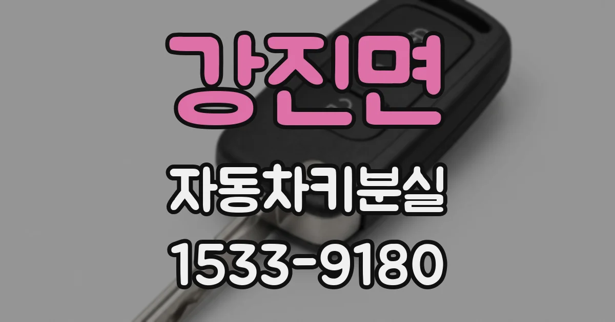 강진면 자동차키분실