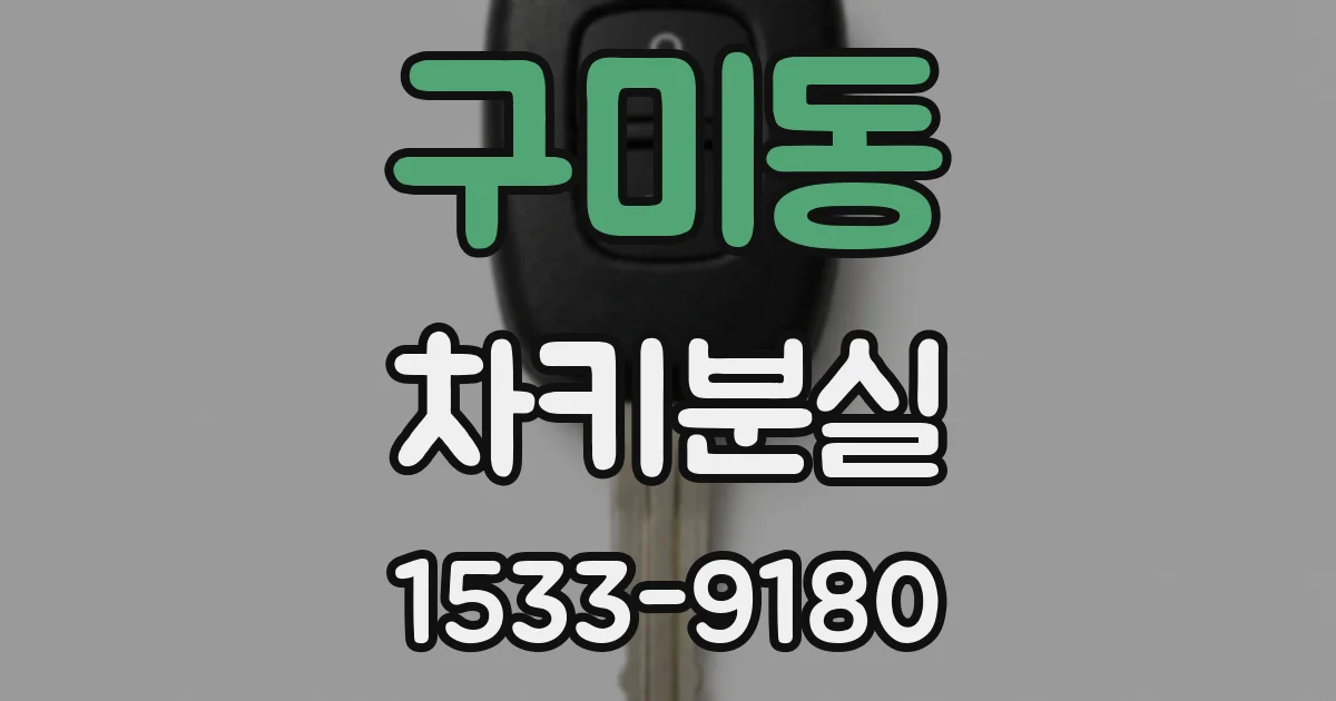 구미동 차키분실