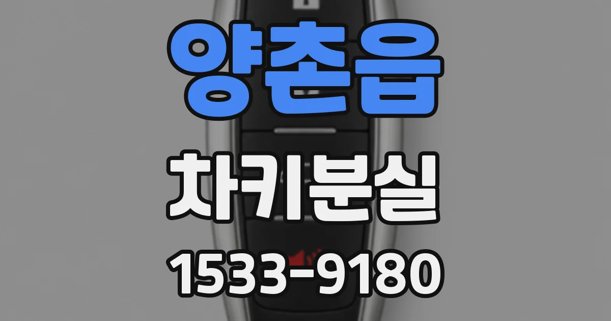 양촌읍 차키분실