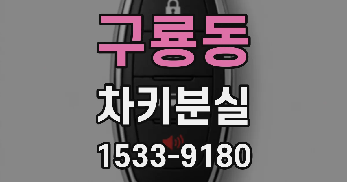 구룡동 차키분실