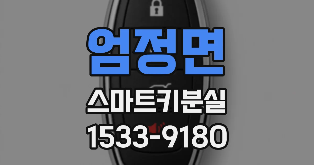 엄정면 스마트키분실