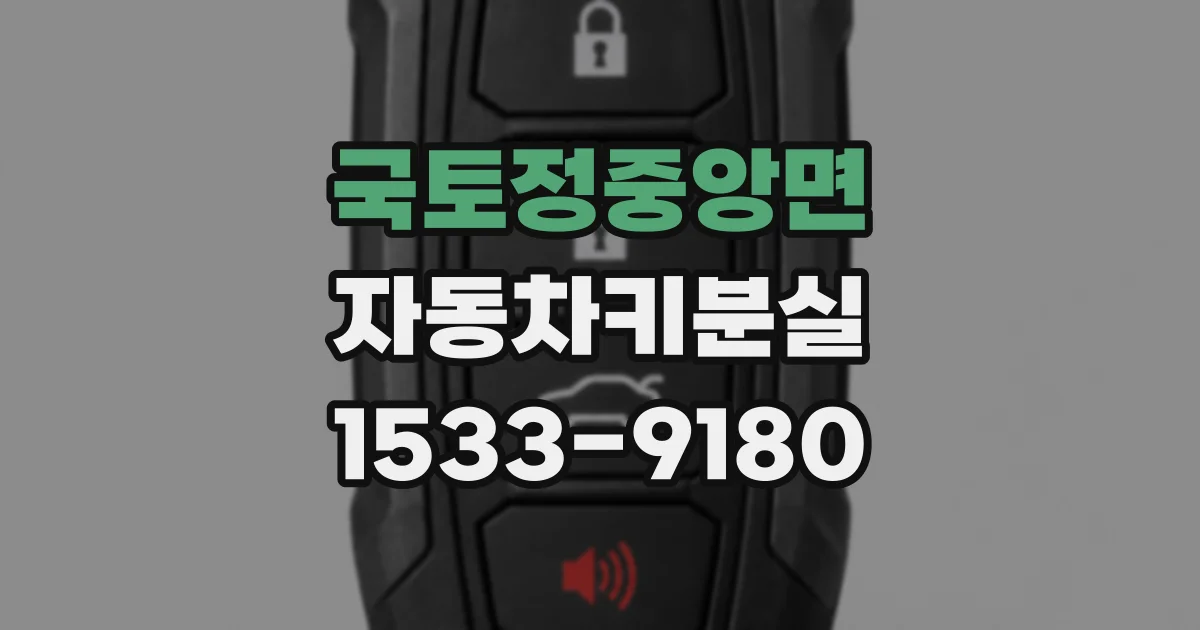 국토정중앙면 자동차키분실