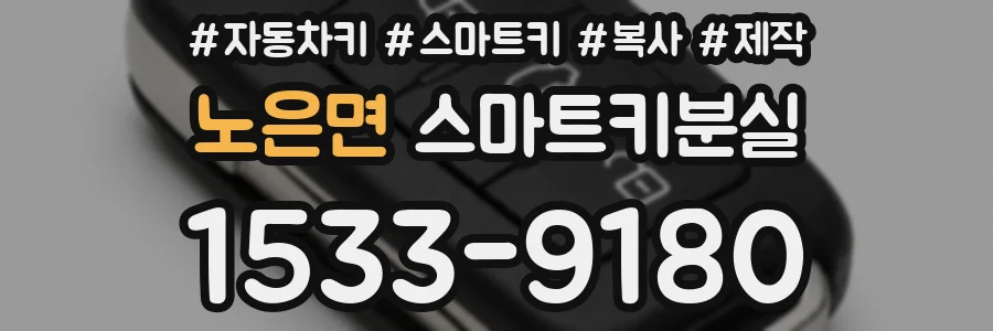 노은면 스마트키분실