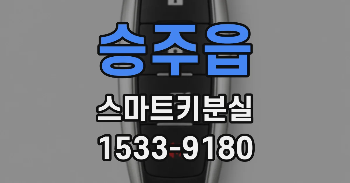 승주읍 스마트키분실