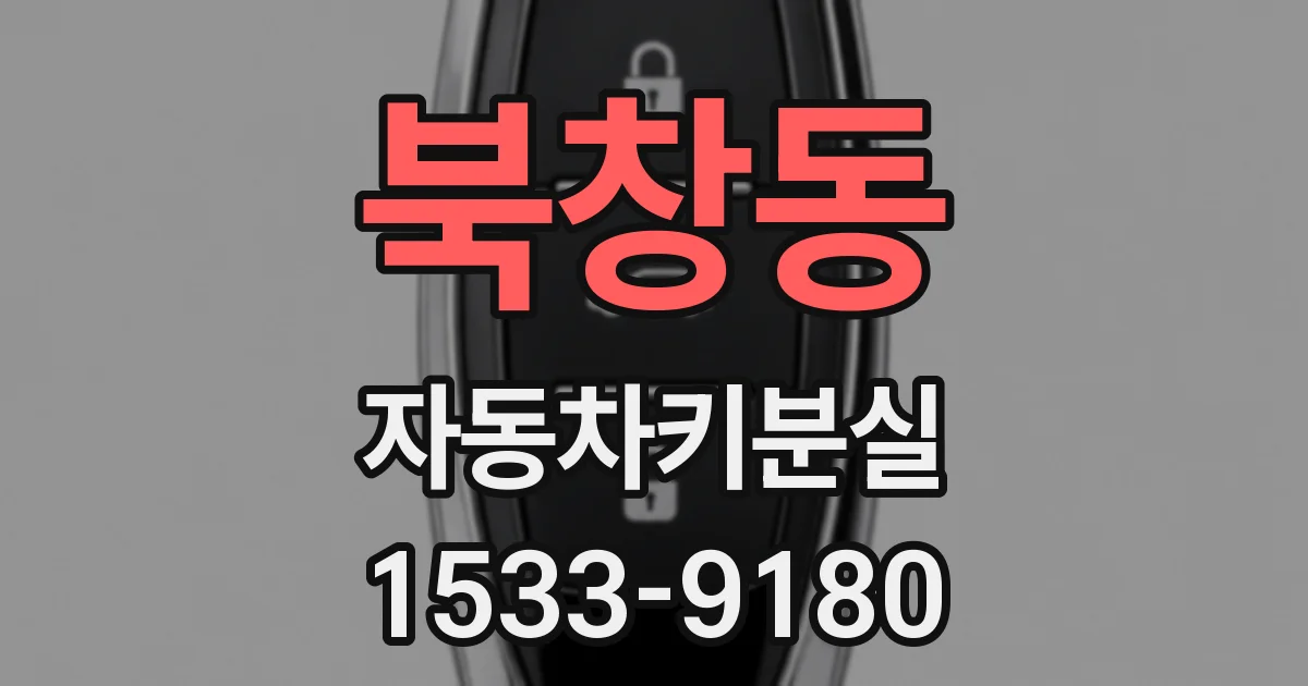 북창동 자동차키분실