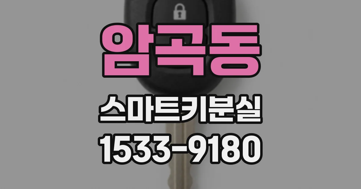 암곡동 스마트키분실