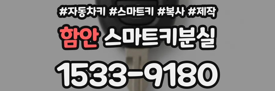 함안 스마트키분실