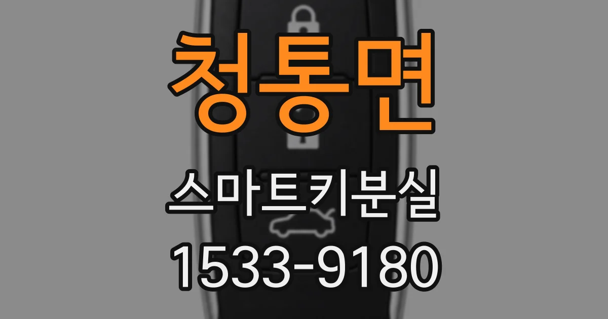 청통면 스마트키분실