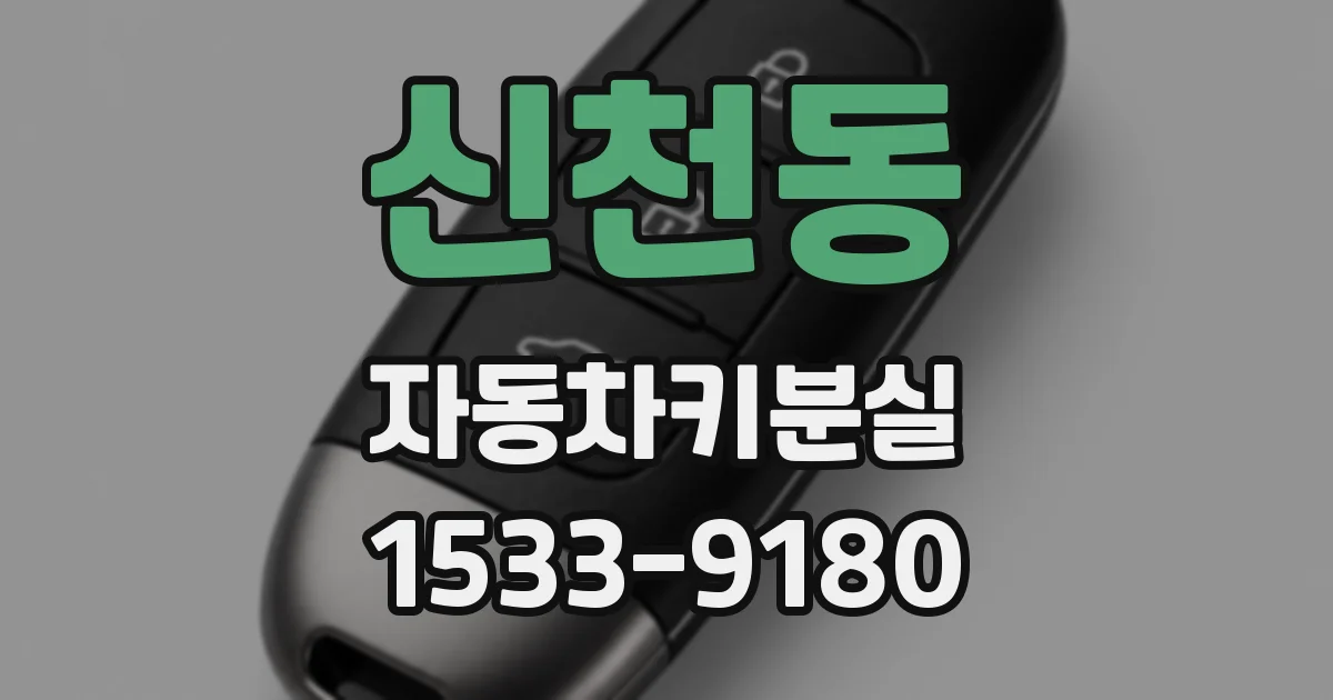 신천동 자동차키분실