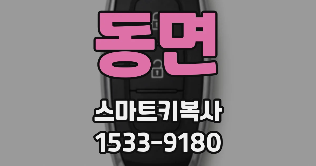동면 스마트키복사
