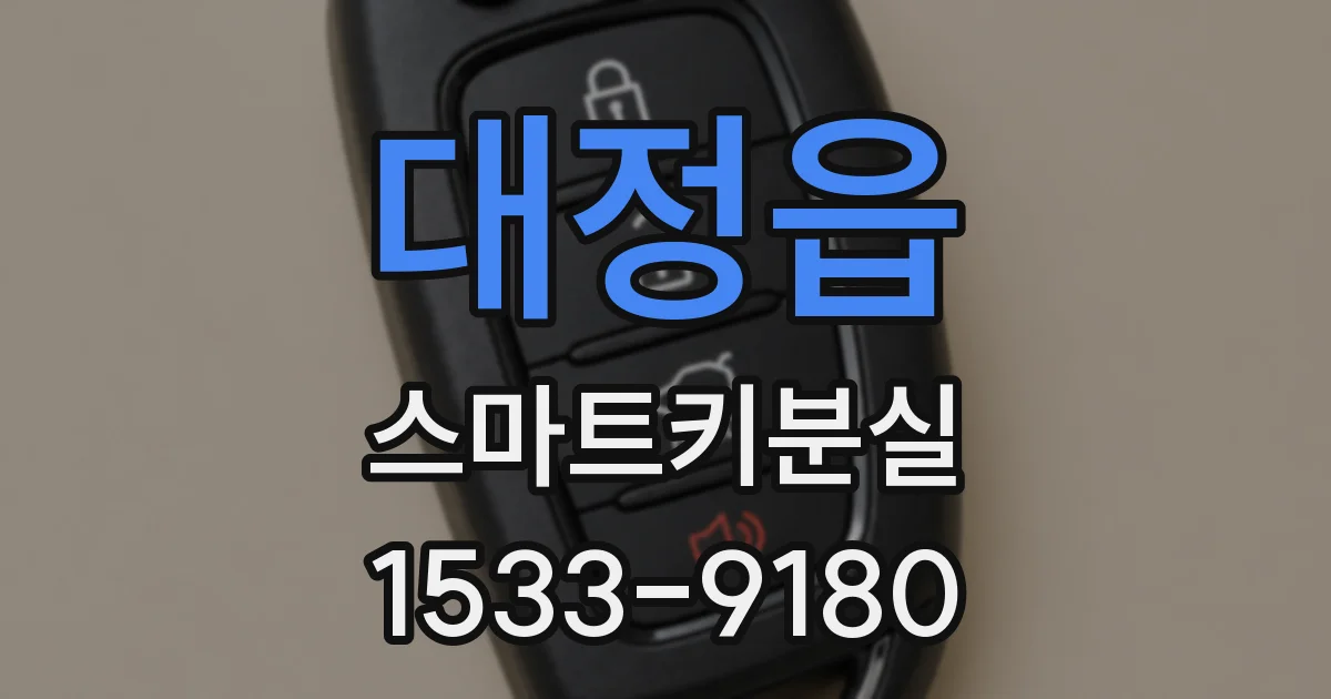 대정읍 스마트키분실