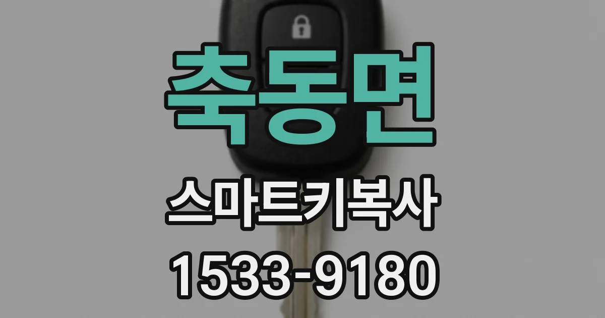 축동면 스마트키복사