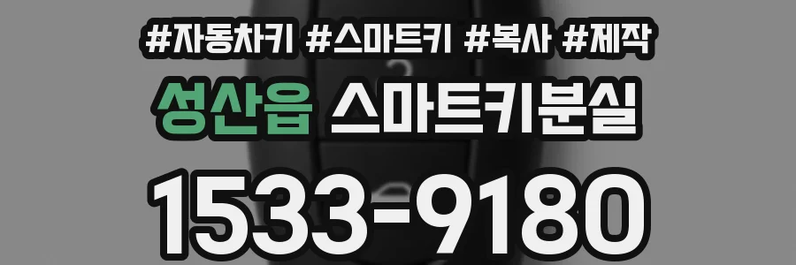 성산읍 스마트키분실