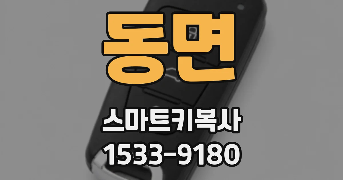 동면 스마트키복사