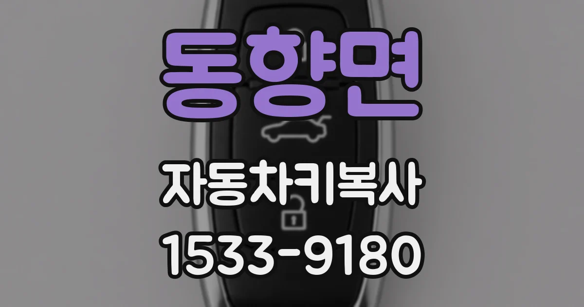 동향면 자동차키복사