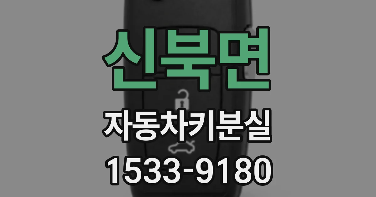 신북면 자동차키분실