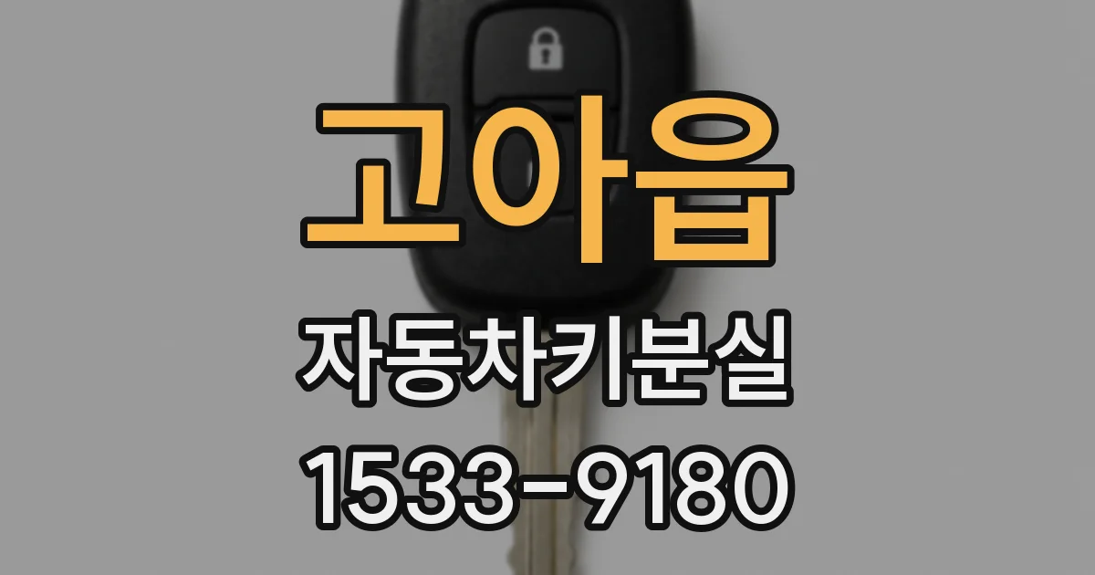 고아읍 자동차키분실