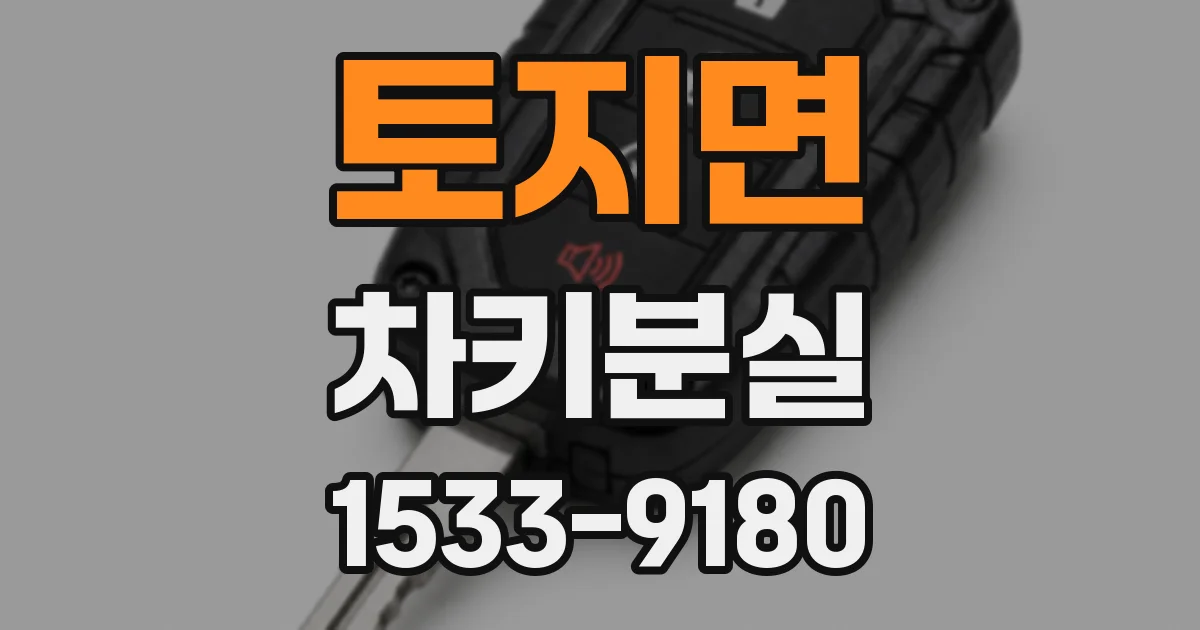 토지면 차키분실