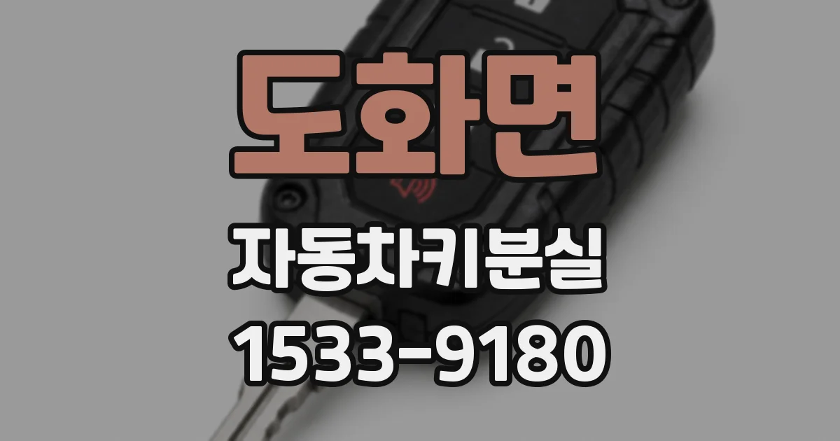 도화면 자동차키분실
