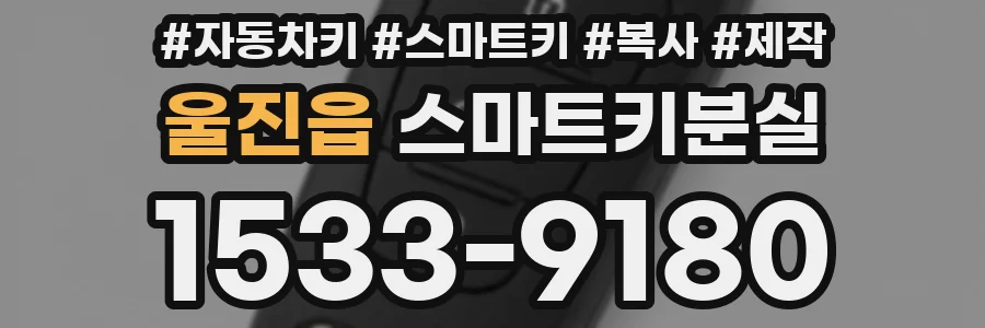 울진읍 스마트키분실