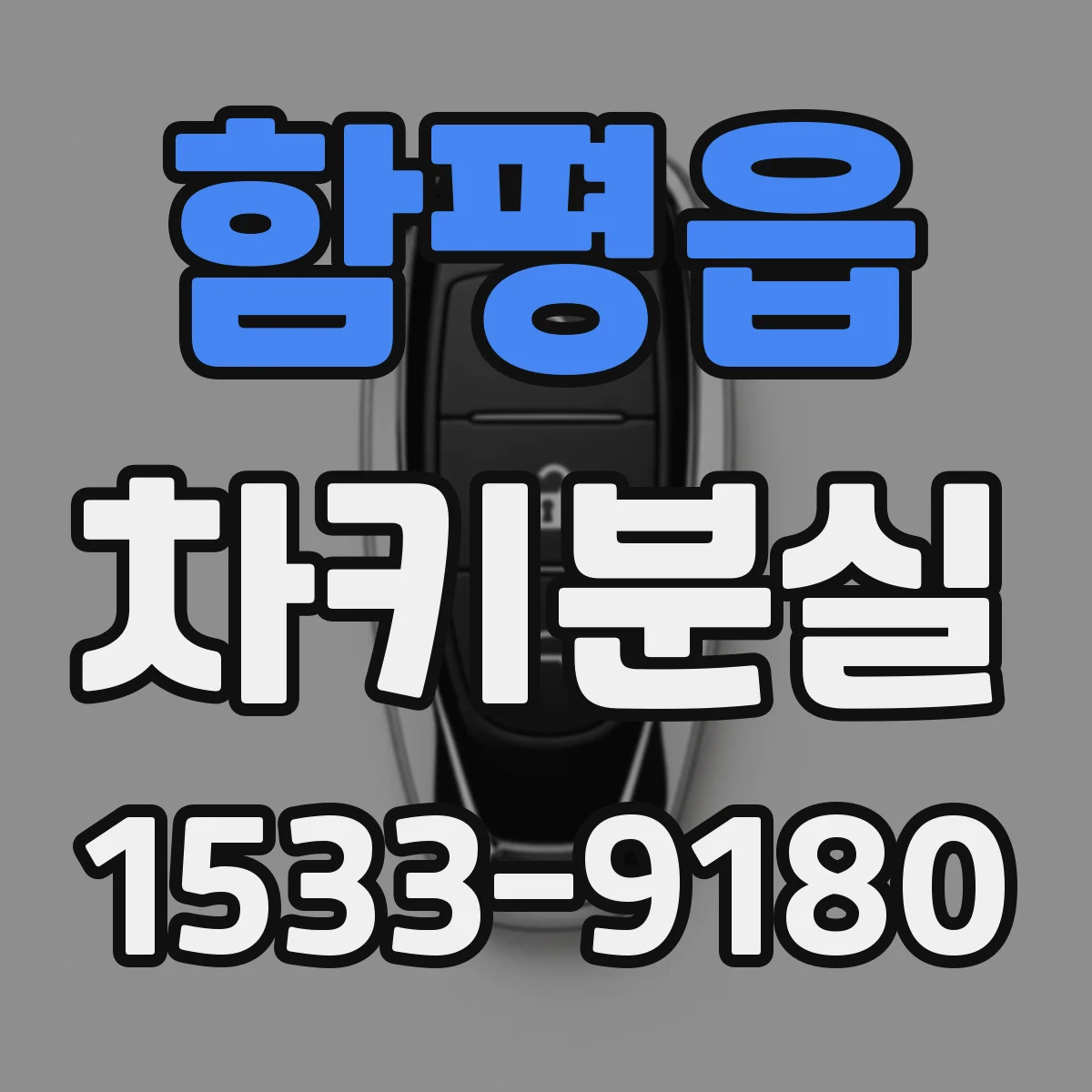 함평읍 차키분실