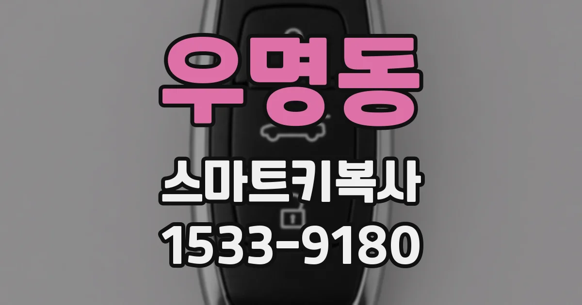 우명동 스마트키복사