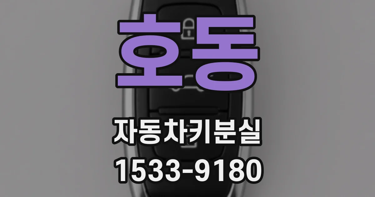 호동 자동차키분실