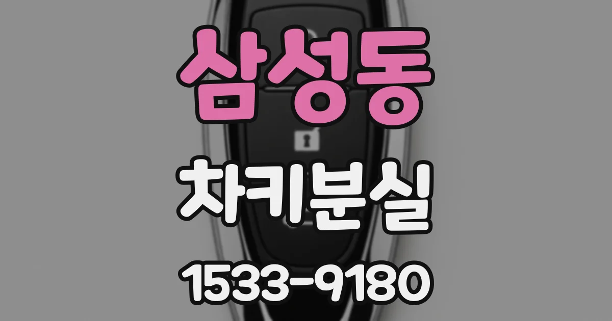 삼성동 차키분실