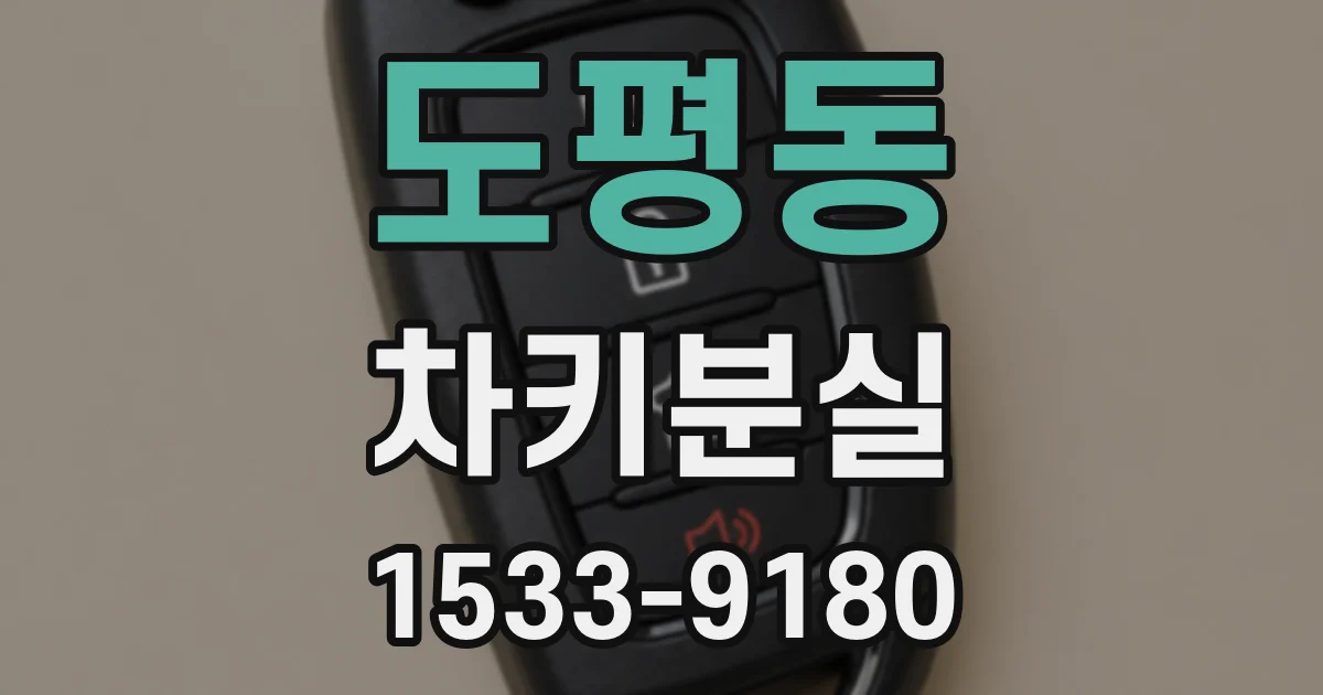 도평동 차키분실