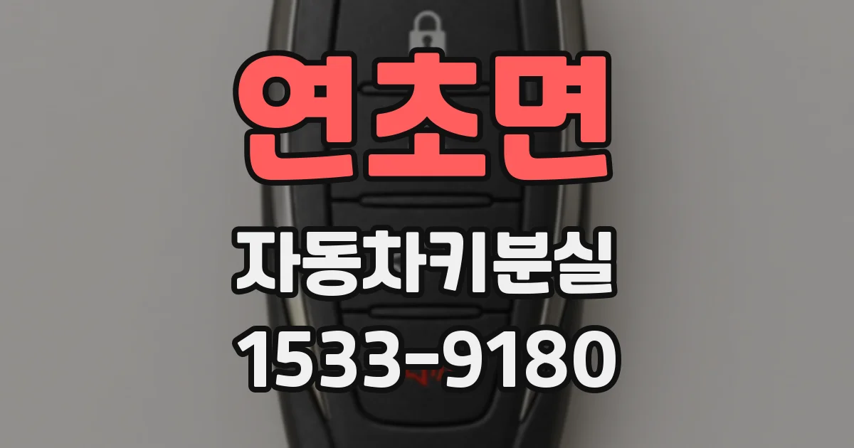 연초면 자동차키분실