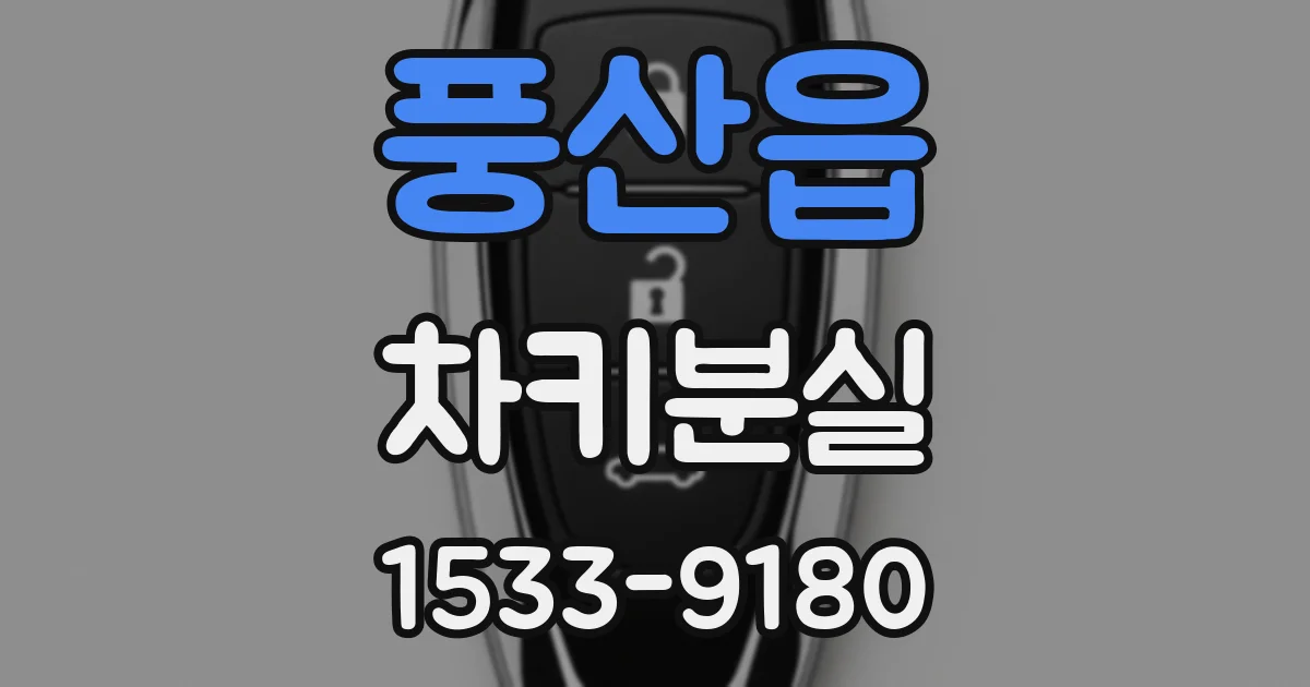 풍산읍 차키분실