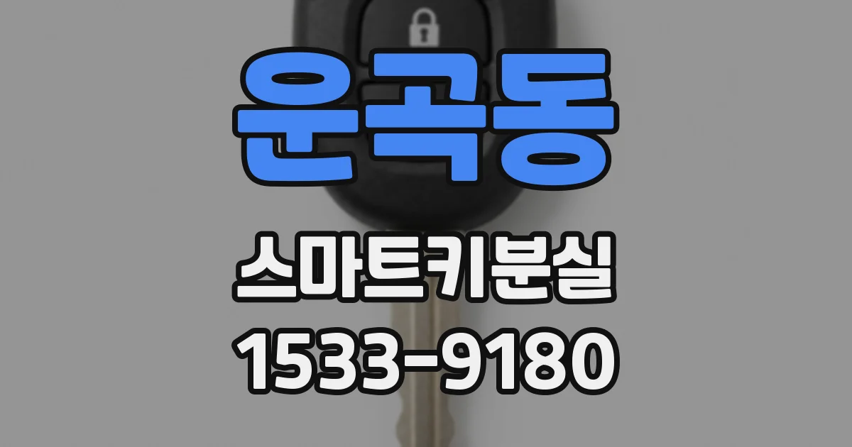 운곡동 스마트키분실