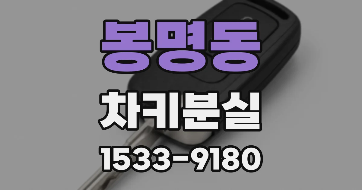 봉명동 차키분실
