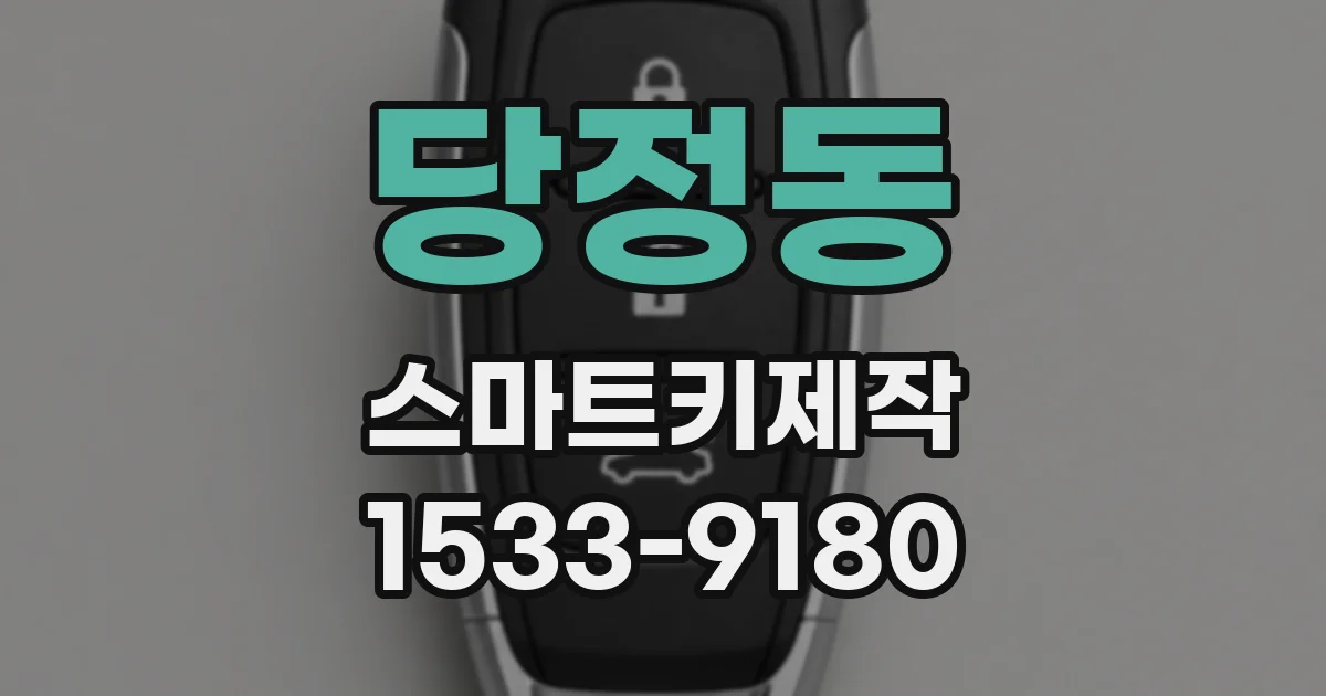 당정동 스마트키제작