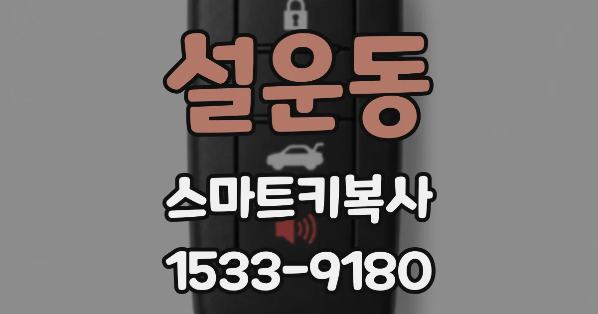 설운동 스마트키복사