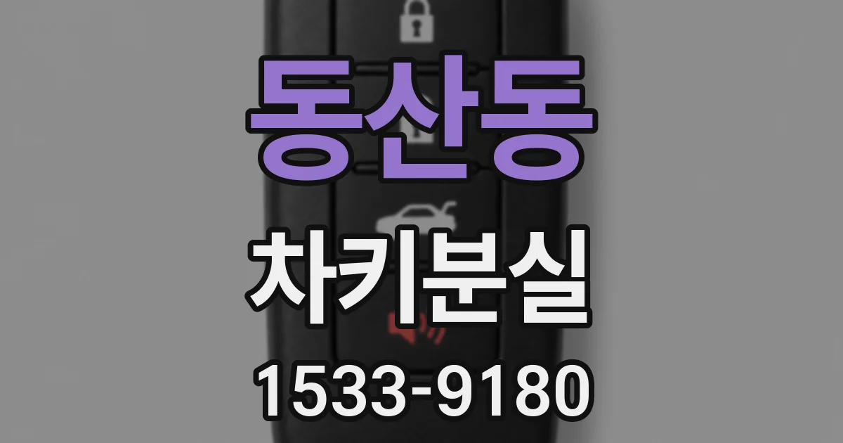 동산동 차키분실